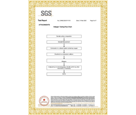 SGS英文版6